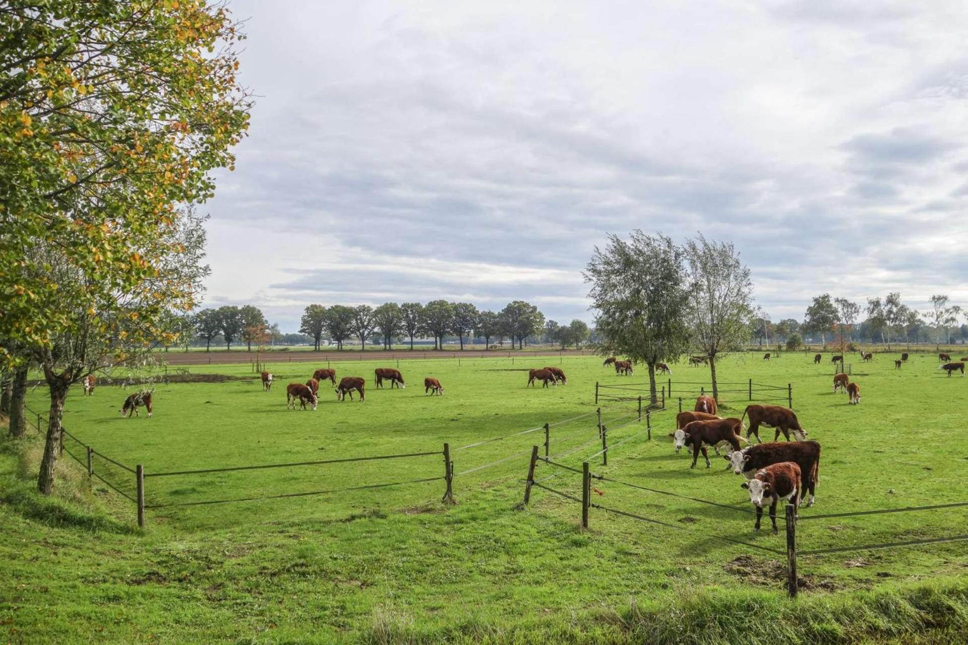 Boertel Lamperse Hei Hotell Wanroij Exteriör bild